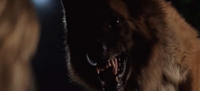 Cães Assassinos (2006) (3)