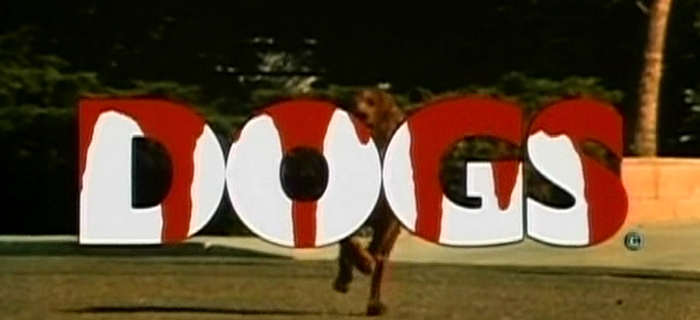 A Revolta dos Cães (1976) (2)