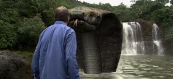 Komodo Vs Cobra (2005) (5)