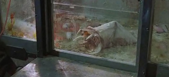 A Camisinha Assassina (1996) (3)