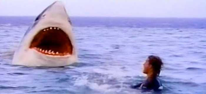 O Último Tubarão (1981) (1)