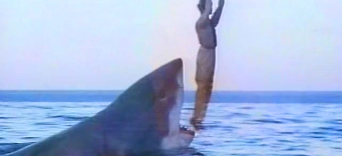 O Último Tubarão (1981)