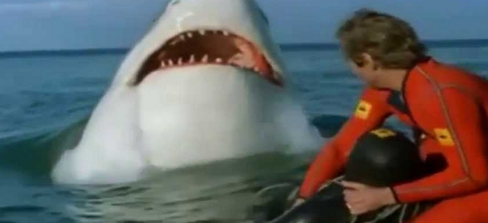 O Último Tubarão (1981) (8)