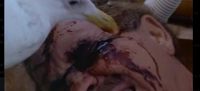 Os Pássaros 2 (1992)