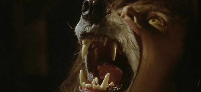 A Companhia dos Lobos (1984)