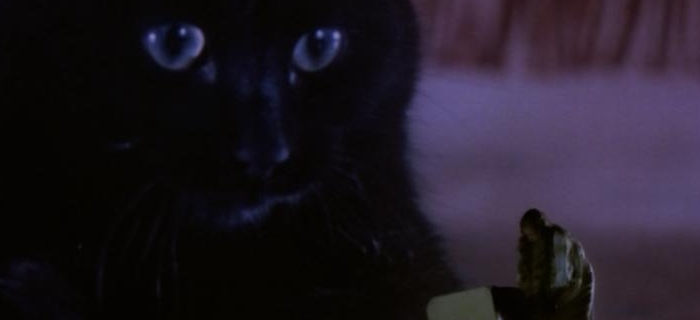 A Maldição dos Gatos (1977) (3)