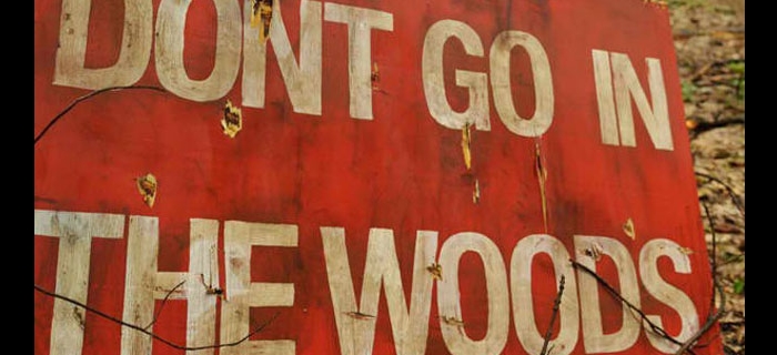 Dont Go in the Woods (1980)