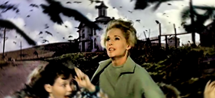 Os Pássaros (1963) (4)