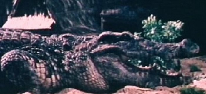 Crocodilo Assassino (1981)
