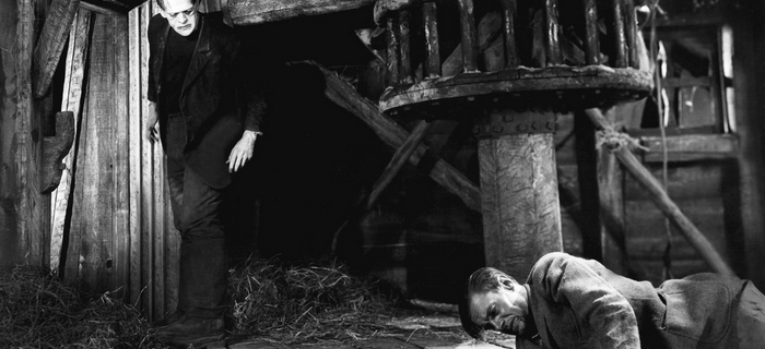 Frankenstein (1931) (4)