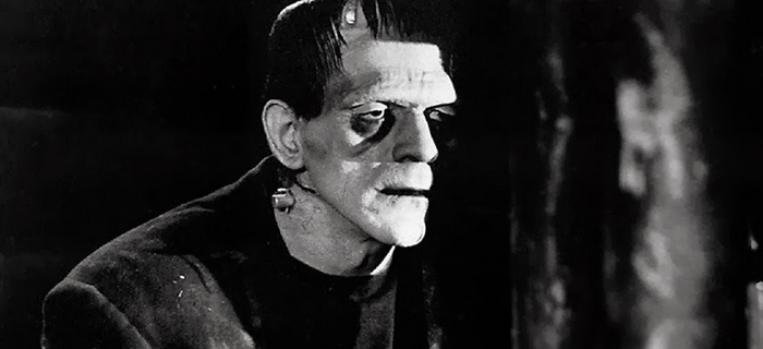 Frankenstein (1931) (6)