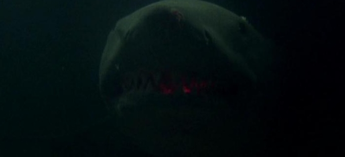 Tubarão 3 (1983) (10)
