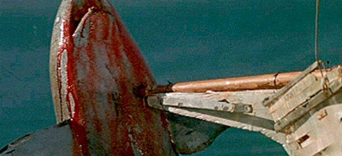 Tubarão 4 - A Vingança (1987) (5)