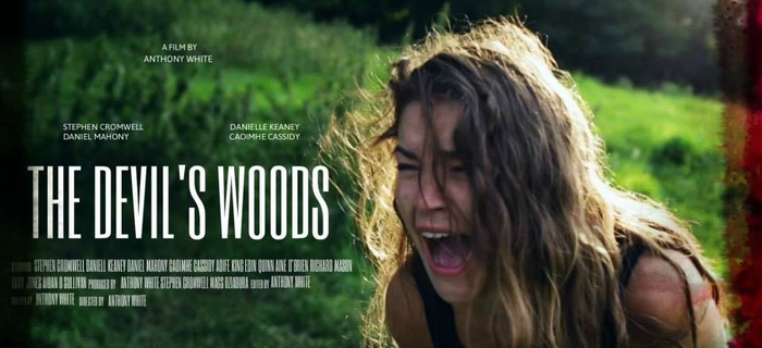 The Devil´s Woods (2016) (1)