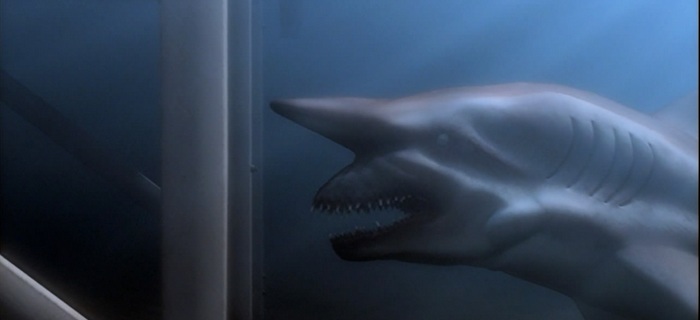 Tubarão de Malibu (2009) (1)