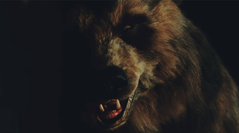 Grizzly, filme sobre urso gigante assassino, ganha trailer mas não