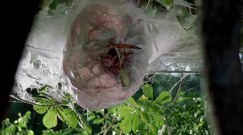 Arachnid (2001)  Boca do Inferno