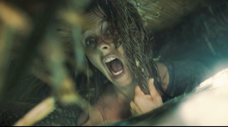 Filme de terror bizarro da A24 pode te traumatizar! Conheça Tusk