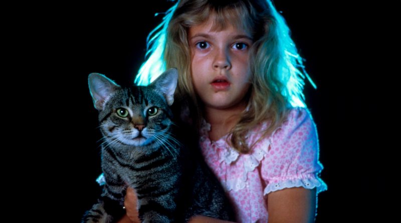 Olhos de Gato: Netflix adiciona a dublagem em português do filme