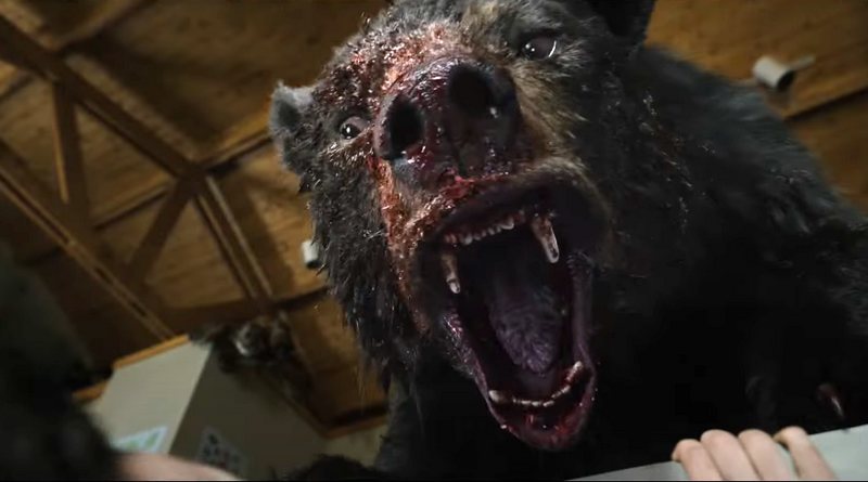 O urso do pó branco e outros cinco filmes de ursos ferozes para você  conferir! 